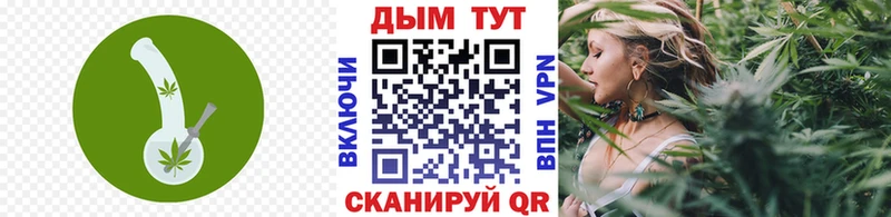 купить  цена  Ленинградская  mega как войти  Шишки марихуана Ganja 